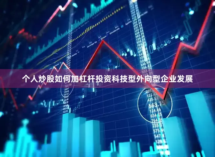 个人炒股如何加杠杆投资科技型外向型企业发展