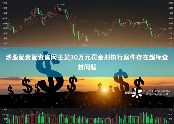 炒股配资配资官网王某30万元罚金刑执行案件存在超标查封问题